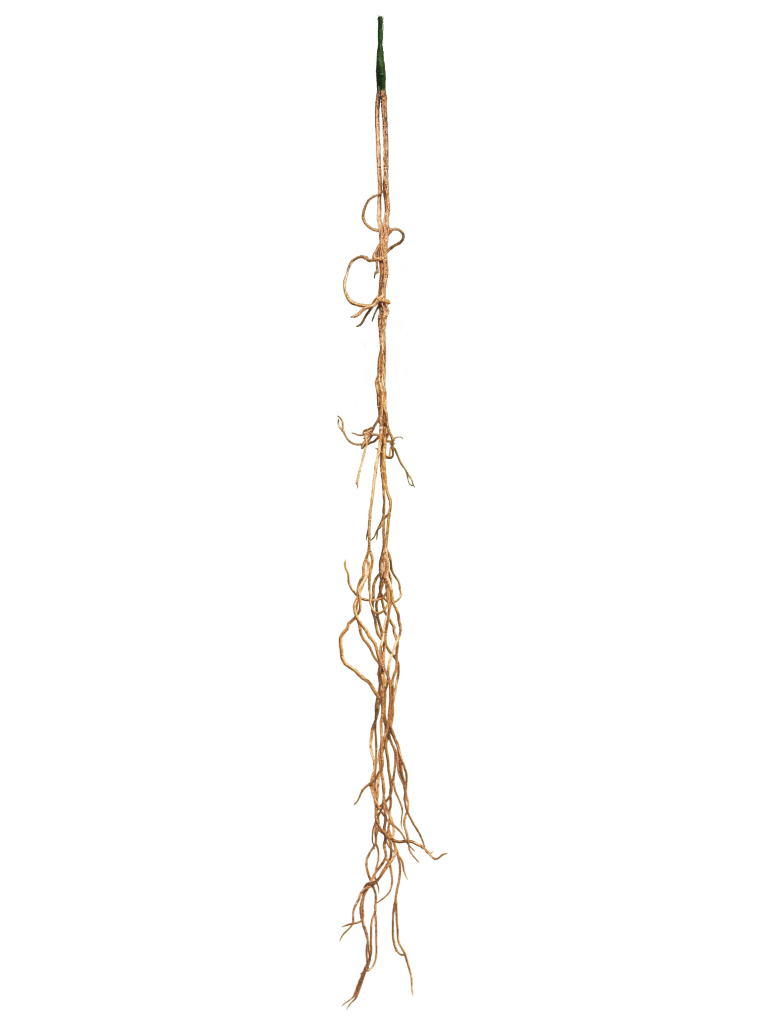 https://cdn.warentuin.nl/media/catalog/product/S/C/SCAN8505459126551_liana_bush_tarzan_orange_110cm_48a9.png