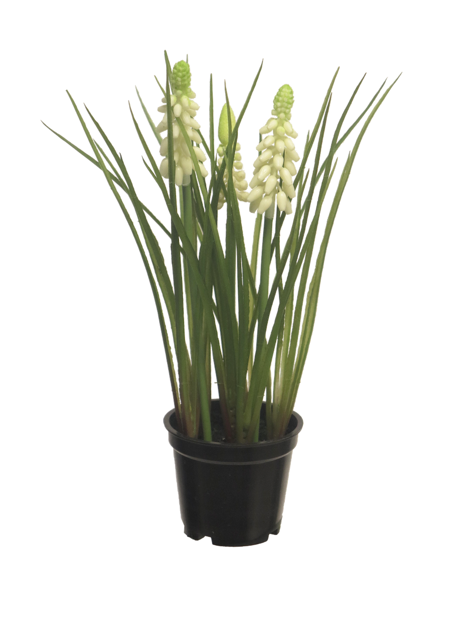 https://cdn.warentuin.nl/media/catalog/product/S/C/SCAN8505459206000_nova_nature_kunstbloemen_muscari_x3_with_black__8eaf.png