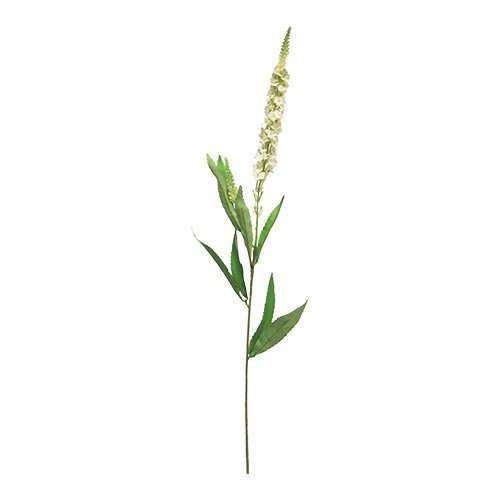 https://cdn.warentuin.nl/media/catalog/product/S/C/SCAN8505459237400_nova_nature_kunstbloemen_kunst_veronica_spray_white_76_cm_kun_5bac.jpg