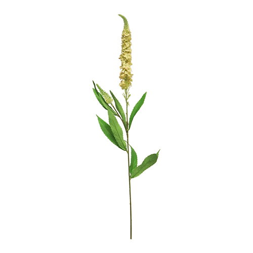 https://cdn.warentuin.nl/media/catalog/product/S/C/SCAN8505459237455_nova_nature_kunstbloemen_kunst_veronica_spray_peach_76_cm_kun_ba9f.jpg