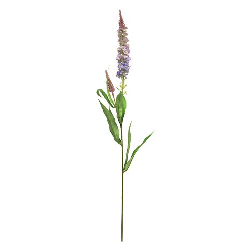 https://cdn.warentuin.nl/media/catalog/product/S/C/SCAN8505459237462_nova_nature_kunstbloemen_veronica_spray_purple_76_cm_kunstblo_fc0e.jpg