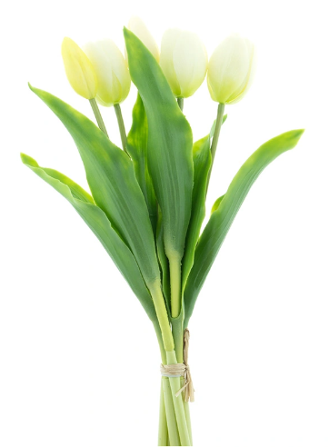 https://cdn.warentuin.nl/media/catalog/product/S/C/SCAN8505459241100_bosje_kunst_tulpen_holland_tulp_duchesse_x5_cream_36_cm_buite_7abb.png
