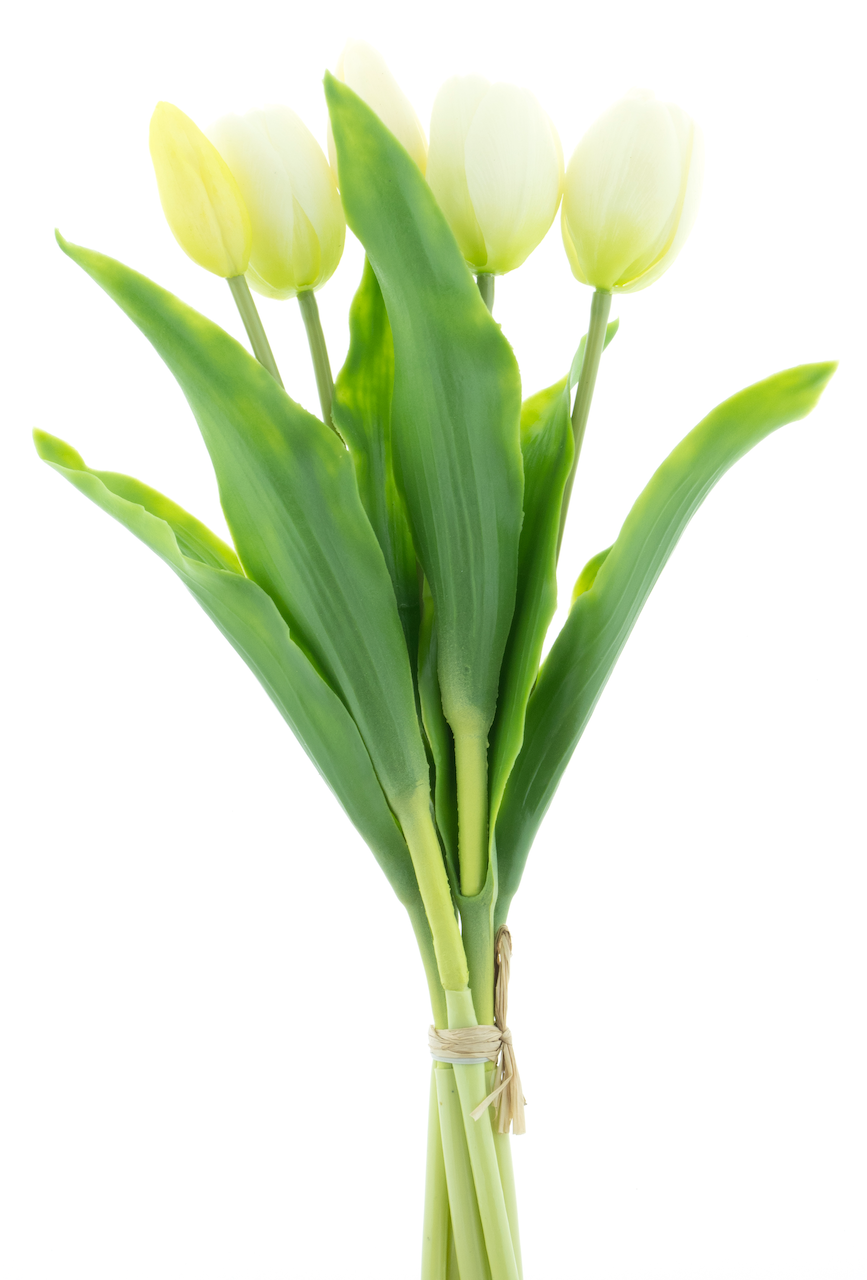 https://cdn.warentuin.nl/media/catalog/product/S/C/SCAN8505459241100_nova_nature_kunstbloemen_holland_tulip_sally_x5_6bd1.png
