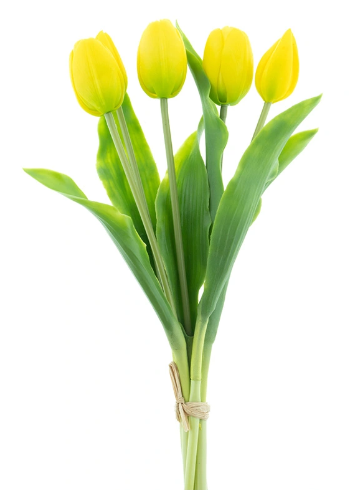 https://cdn.warentuin.nl/media/catalog/product/S/C/SCAN8505459241124_bosje_kunst_tulpen_holland_tulp_duchesse_x5_yellow_36_cm_buit_068a.png