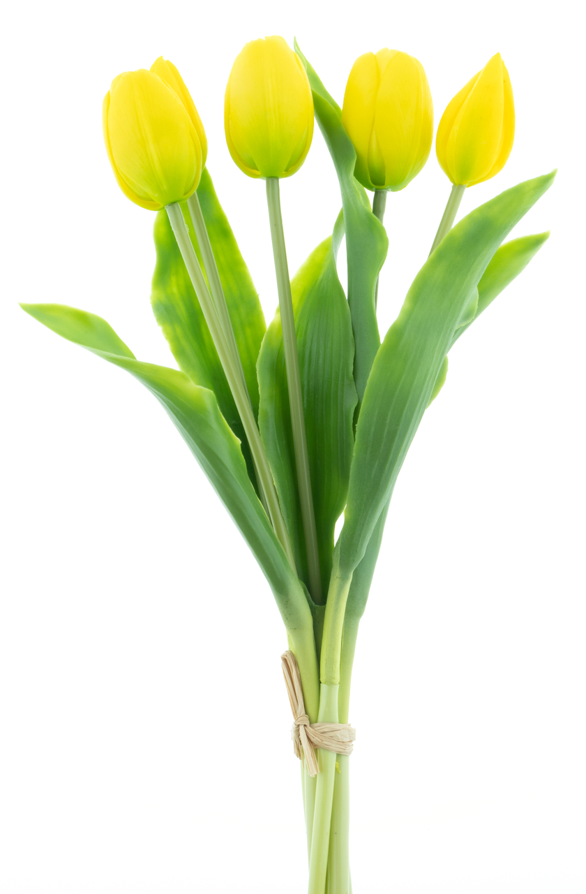 https://cdn.warentuin.nl/media/catalog/product/S/C/SCAN8505459241124_nova_nature_kunstbloemen_holland_tulip_sally_x5_5933.png
