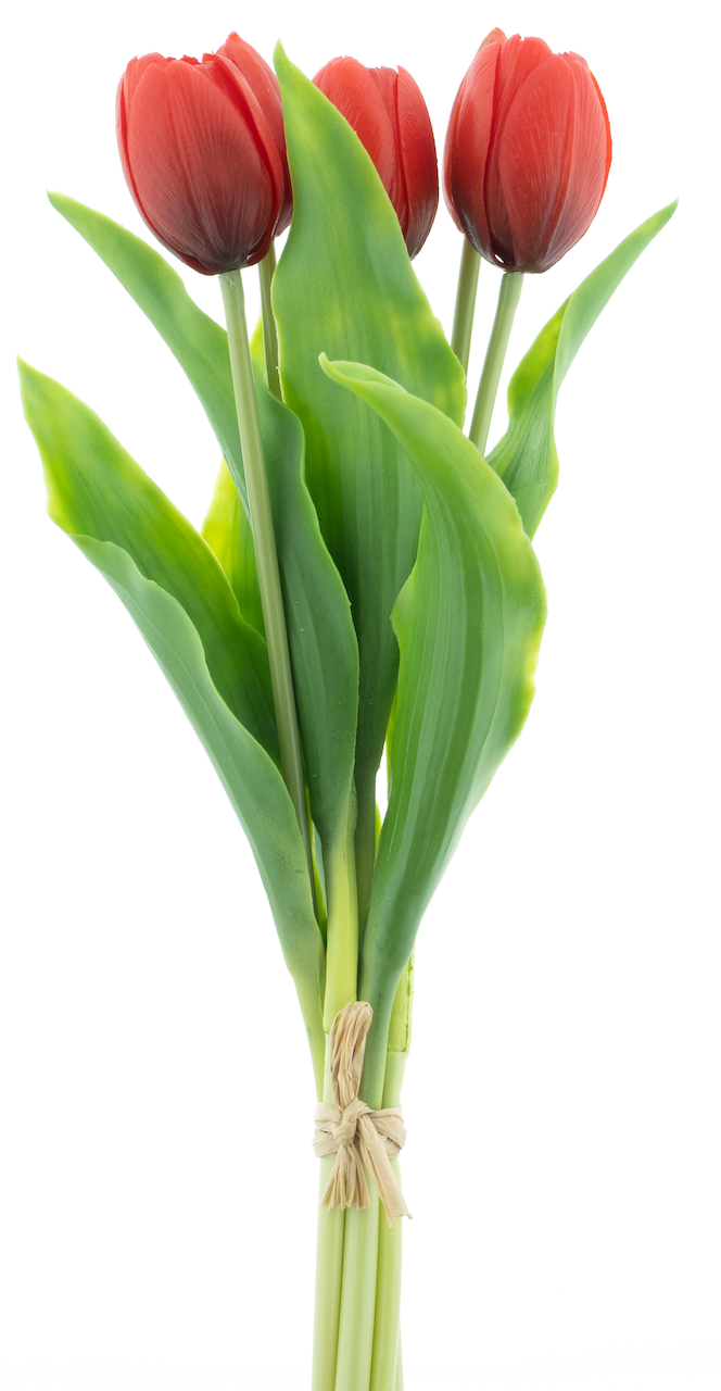 https://cdn.warentuin.nl/media/catalog/product/S/C/SCAN8505459241131_nova_nature_kunstbloemen_holland_tulip_sally_x5_a6ae.png