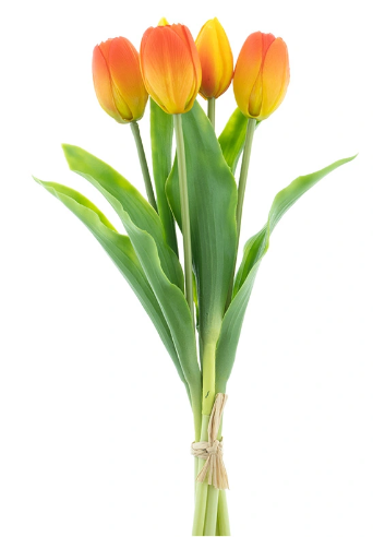 https://cdn.warentuin.nl/media/catalog/product/S/C/SCAN8505459241155_bosje_kunst_tulpen_holland_tulp_duchesse_x5_orange_36_cm_buit_f437.png