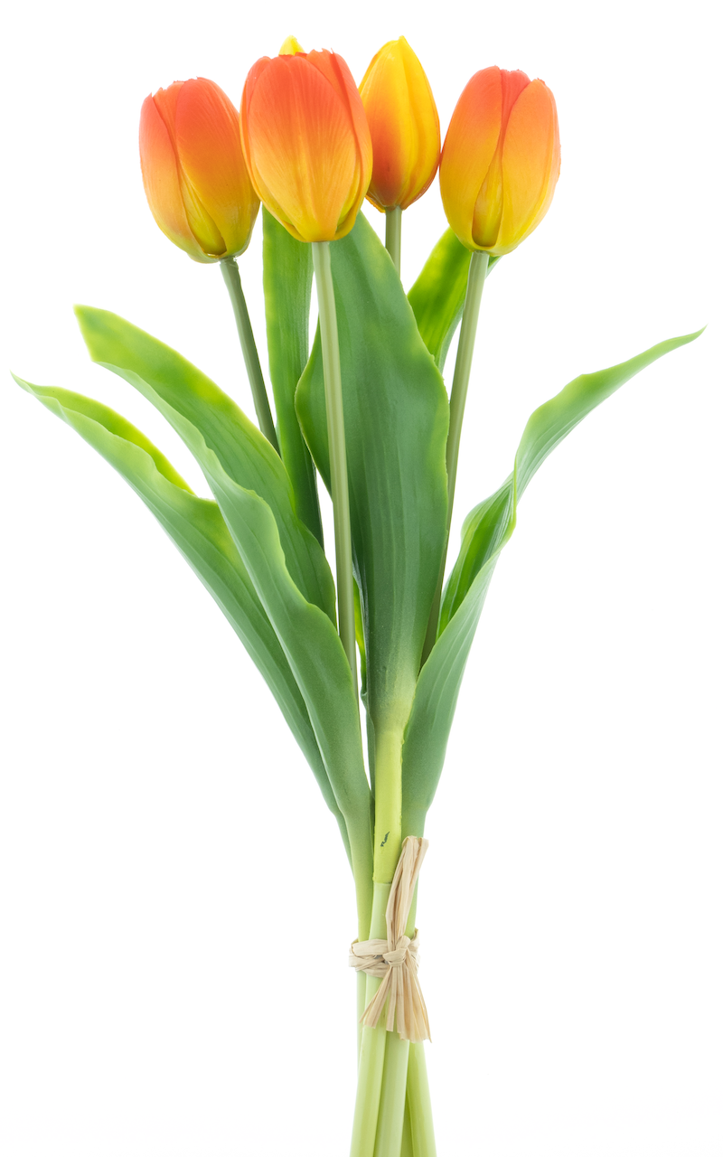 https://cdn.warentuin.nl/media/catalog/product/S/C/SCAN8505459241155_nova_nature_kunstbloemen_holland_tulip_sally_x5_2dfc.png