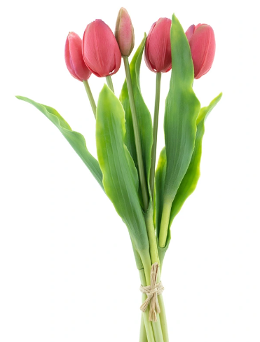 https://cdn.warentuin.nl/media/catalog/product/S/C/SCAN8505459241162_bosje_kunst_tulpen_holland_tulp_duchesse_x5_beauty_36_cm_buit_44c3.png