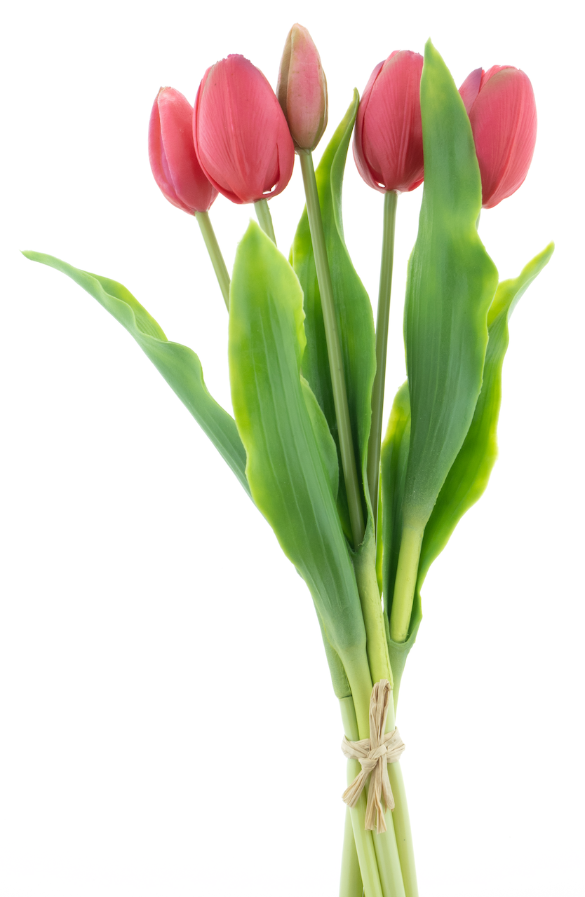https://cdn.warentuin.nl/media/catalog/product/S/C/SCAN8505459241162_nova_nature_kunstbloemen_holland_tulip_sally_x5_767b.png