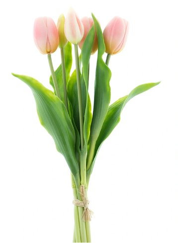 https://cdn.warentuin.nl/media/catalog/product/S/C/SCAN8505459241179_bosje_kunst_tulpen_holland_tulp_duchesse_x5_pink_36_cm_buiten_6d66.png