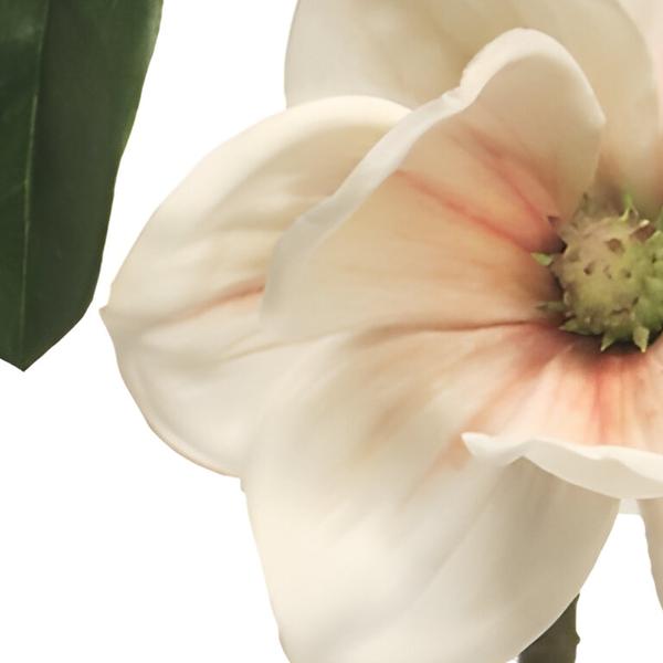 https://cdn.warentuin.nl/media/catalog/product/S/C/SCAN8505459265373_01_magnolia_japanese_garden_blush_pink_51__4048.jpg