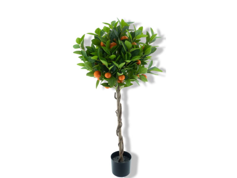 https://cdn.warentuin.nl/media/catalog/product/S/C/SCAN8505460406055_01_nova_nature_orange_tree_sevilla_in_pot_orang_3058.jpg