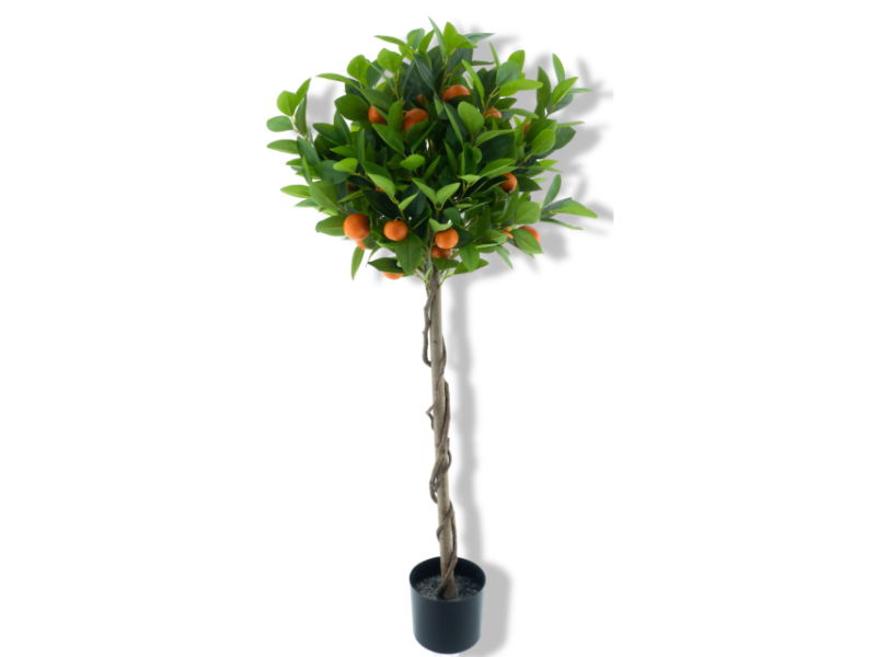 https://cdn.warentuin.nl/media/catalog/product/S/C/SCAN8505460408059_01_nova_nature_orange_tree_in_pot_orange_120_cm_8321.jpg