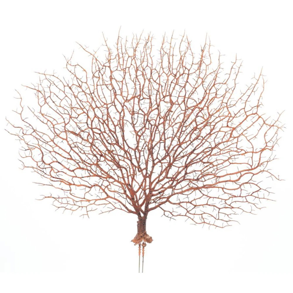 https://cdn.warentuin.nl/media/catalog/product/S/C/SCAN8505472101054_coral_decoration_frame_47_cm_kunsttak_buit_4891.jpg
