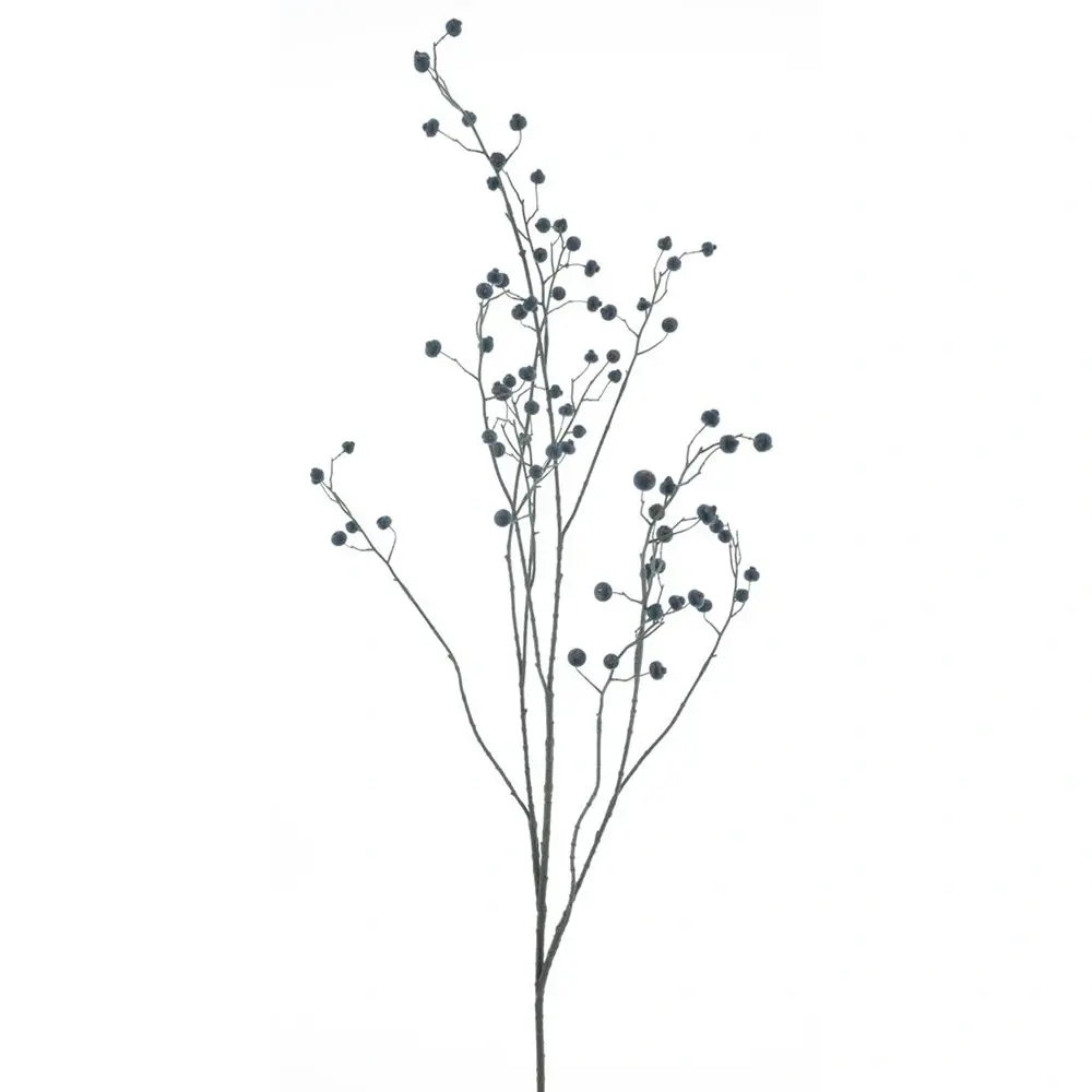 https://cdn.warentuin.nl/media/catalog/product/S/C/SCAN8505472133093_rose_hip_branche_zwart_134_cm_kunsttak_bui_6b77.jpg