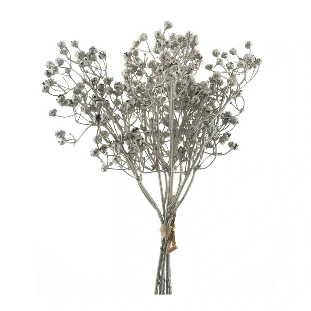 Gypso bundle champagne 34 cm kunsttak Buitengewoon de Boet - Buitengewoon de boet