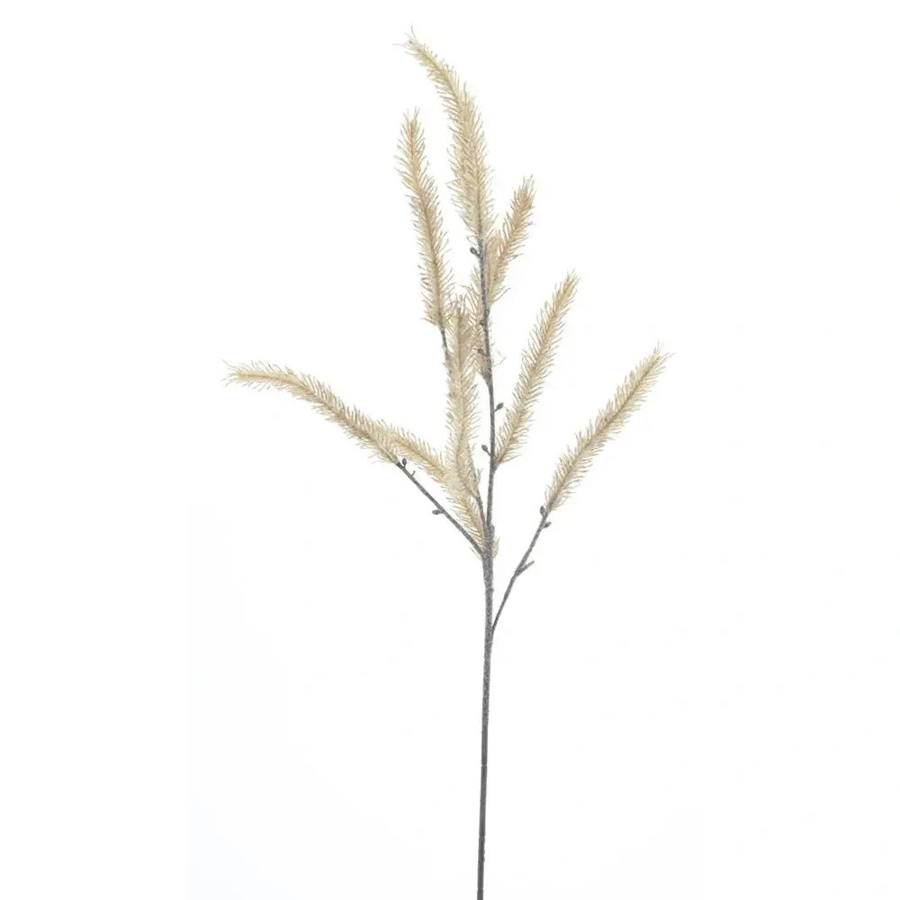 https://cdn.warentuin.nl/media/catalog/product/S/C/SCAN8505472267088_betula_spray_bruin_68_cm_kunsttak_buitenge_51cb.jpg