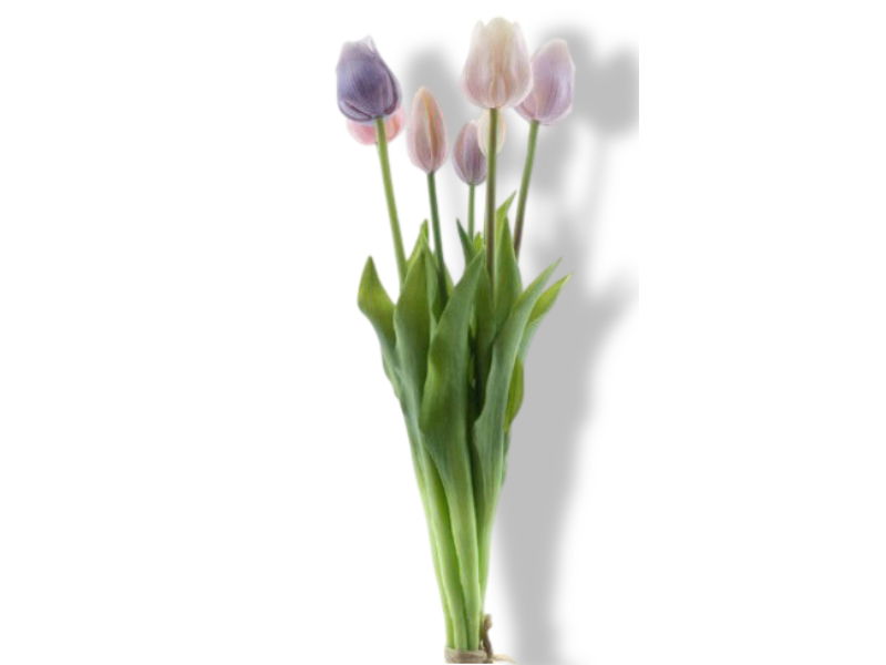 https://cdn.warentuin.nl/media/catalog/product/S/C/SCAN8505487017326_01_buitengewoon_de_boet_bosje_kunst_tulpen_tulp_23eb.jpg