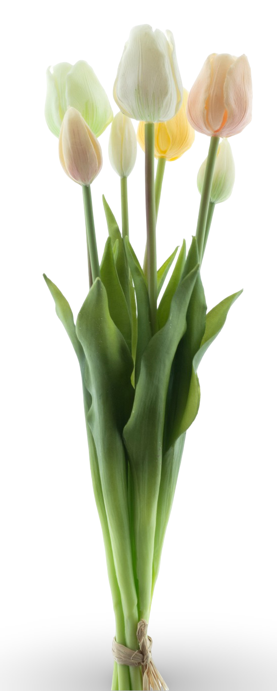 https://cdn.warentuin.nl/media/catalog/product/S/C/SCAN8505487017357_01_338e.png