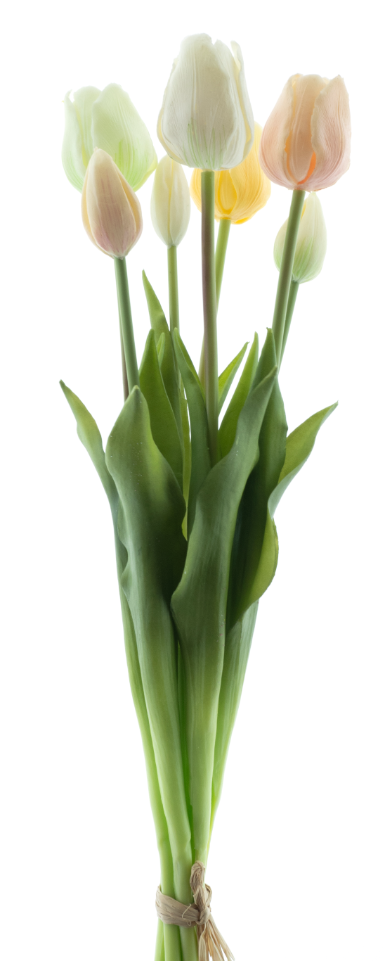 https://cdn.warentuin.nl/media/catalog/product/S/C/SCAN8505487017357_pso_classic_tulip_bundle_sally_x7_nw_yellow_green_combo_47cm_1d7c.png