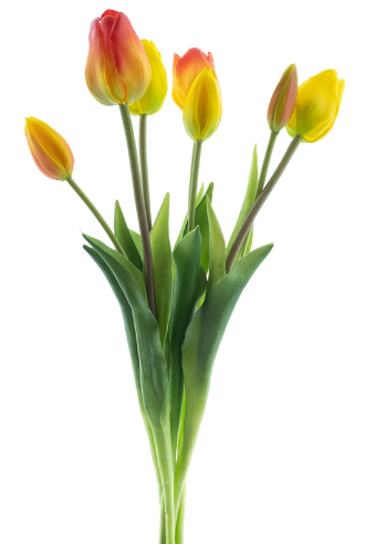 https://cdn.warentuin.nl/media/catalog/product/S/C/SCAN8505487017401_bosje_kunst_tulpen_tulp_duchesse_x7_yellow_orange_47_cm_buite_5d9a.png