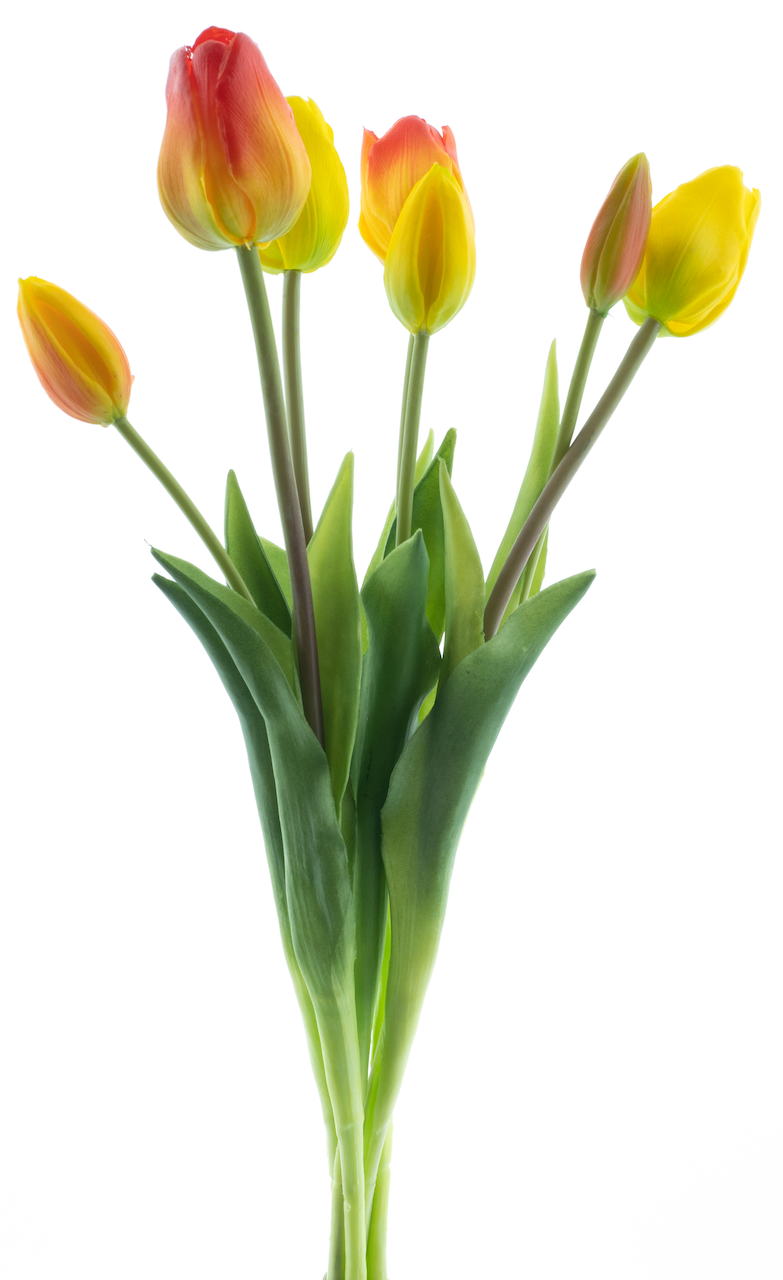 https://cdn.warentuin.nl/media/catalog/product/S/C/SCAN8505487017401_nova_nature_kunstbloemen_classic_mixed_tulip_bu_e69c.png