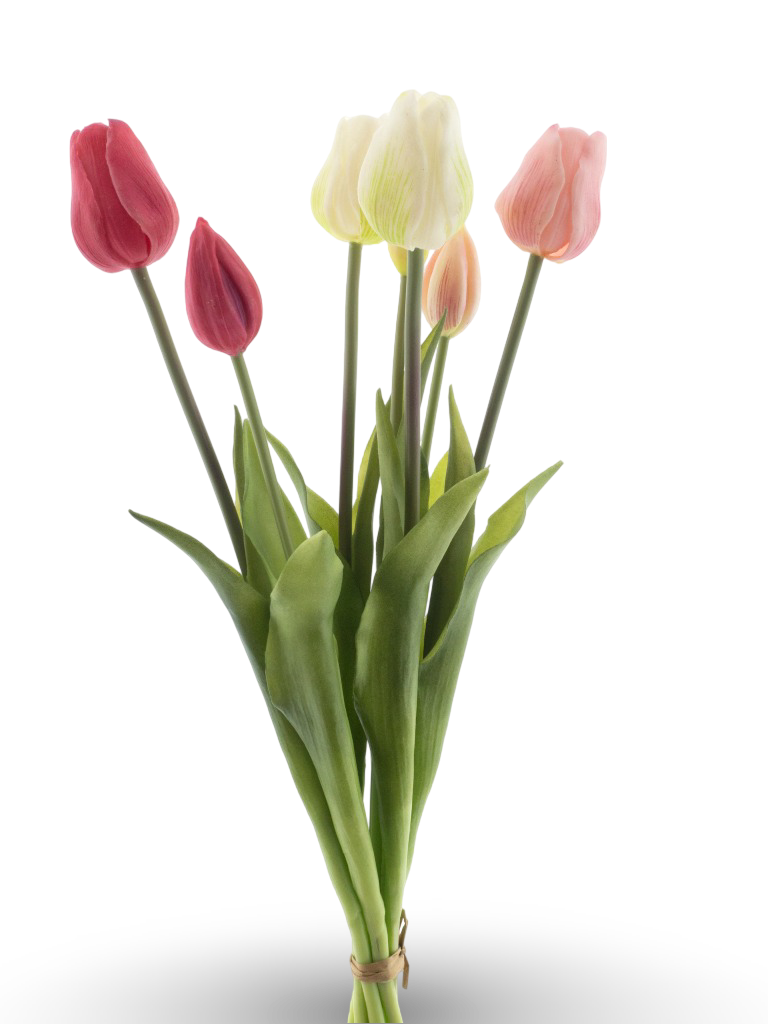 https://cdn.warentuin.nl/media/catalog/product/S/C/SCAN8505487017456_01_47c5.png