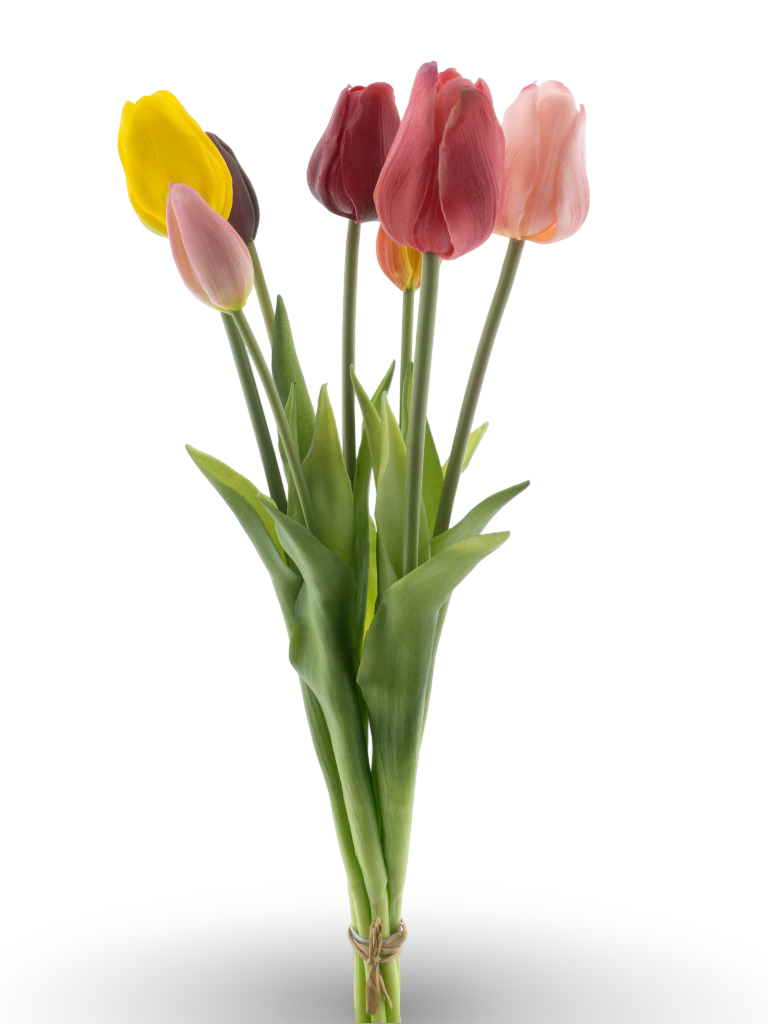 https://cdn.warentuin.nl/media/catalog/product/S/C/SCAN8505487017494_01_8c14.png