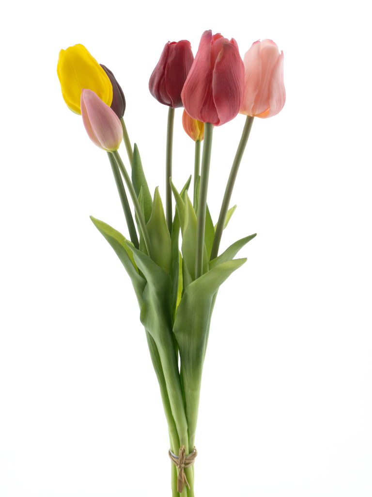 https://cdn.warentuin.nl/media/catalog/product/S/C/SCAN8505487017494_pso_classic_tulip_bundle_sallyx7_mixed_47cm_9a5b.png