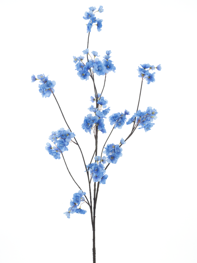 https://cdn.warentuin.nl/media/catalog/product/S/C/SCAN8505491240048_prunus_malaga_spray_blue_126cm_e70d.png