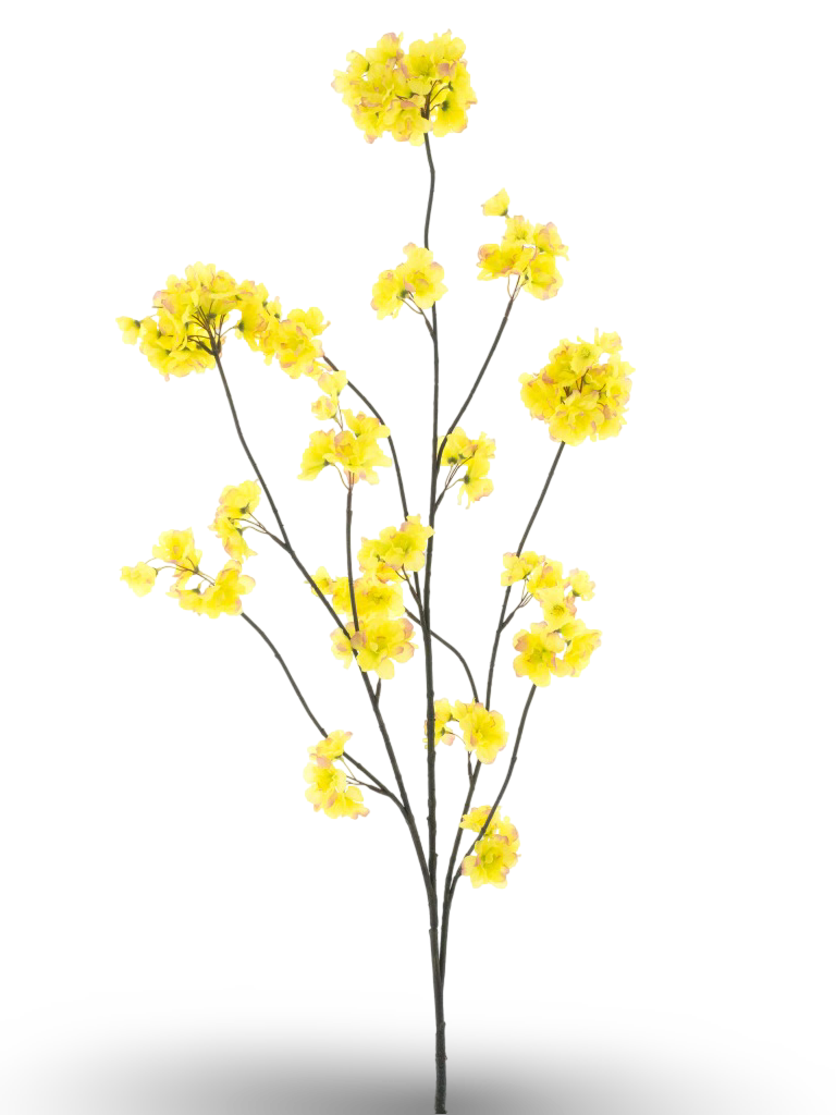 https://cdn.warentuin.nl/media/catalog/product/S/C/SCAN8505491240277_01_9329.png