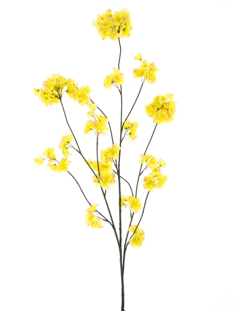 https://cdn.warentuin.nl/media/catalog/product/S/C/SCAN8505491240277_prunus_malaga_spray_yellow_pink_126cm_f94c.png
