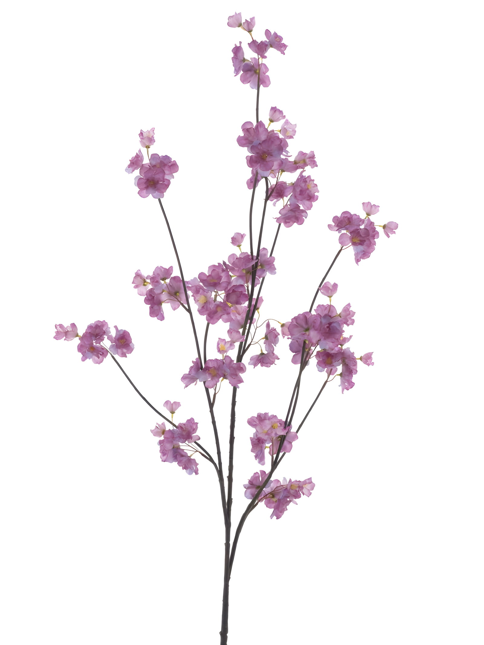https://cdn.warentuin.nl/media/catalog/product/S/C/SCAN8505491240406_prunus_spray_lavender_126_cm_kunstbloem_no_f26e.jpg