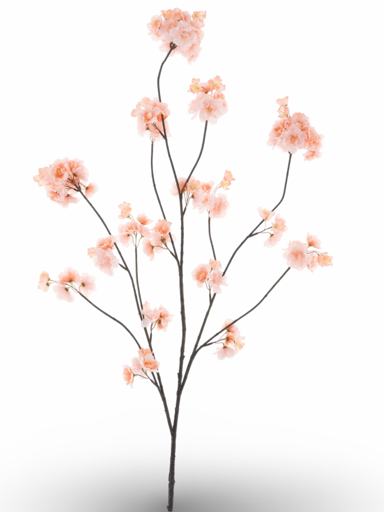 https://cdn.warentuin.nl/media/catalog/product/S/C/SCAN8505491240505_01_e498.png