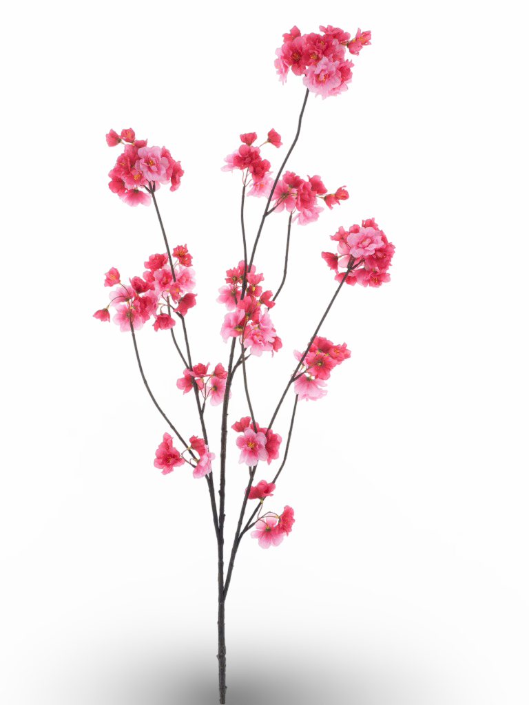 https://cdn.warentuin.nl/media/catalog/product/S/C/SCAN8505491240673_01_b033.png