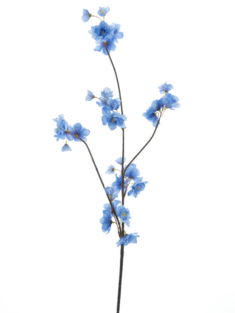 https://cdn.warentuin.nl/media/catalog/product/S/C/SCAN8505491243049_prunus_malaga_spray_blue_84cm_35c9.png