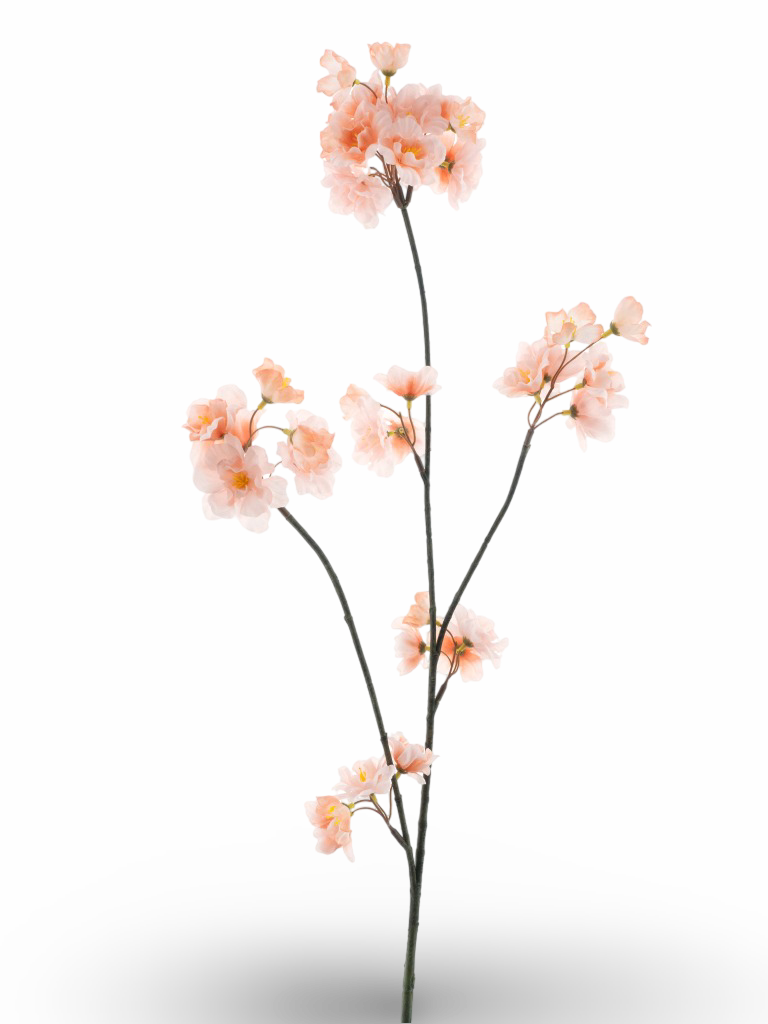 https://cdn.warentuin.nl/media/catalog/product/S/C/SCAN8505491243506_01_fde5.png