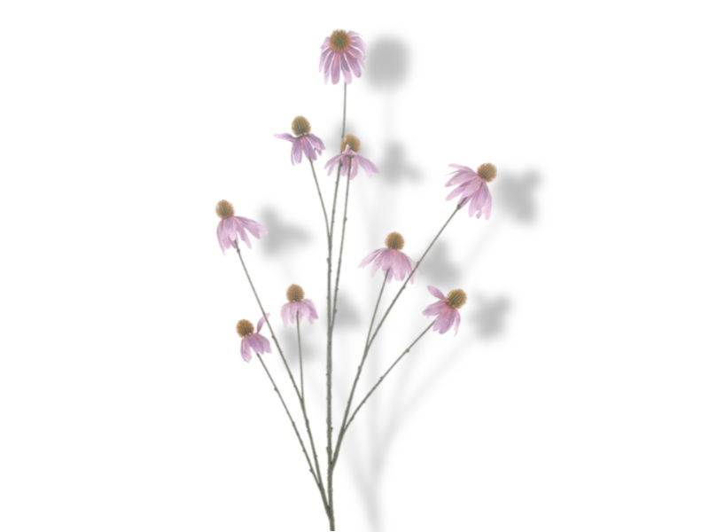 https://cdn.warentuin.nl/media/catalog/product/S/C/SCAN8505492242065_01_hortus_kunstbloem_kunstbloem_echinacae_purple_1_efd3.jpg