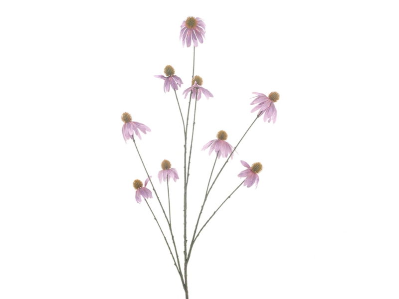 https://cdn.warentuin.nl/media/catalog/product/S/C/SCAN8505492242065_hortus_kunstbloem_kunstbloem_echinacae_purple_1_7d85.jpg