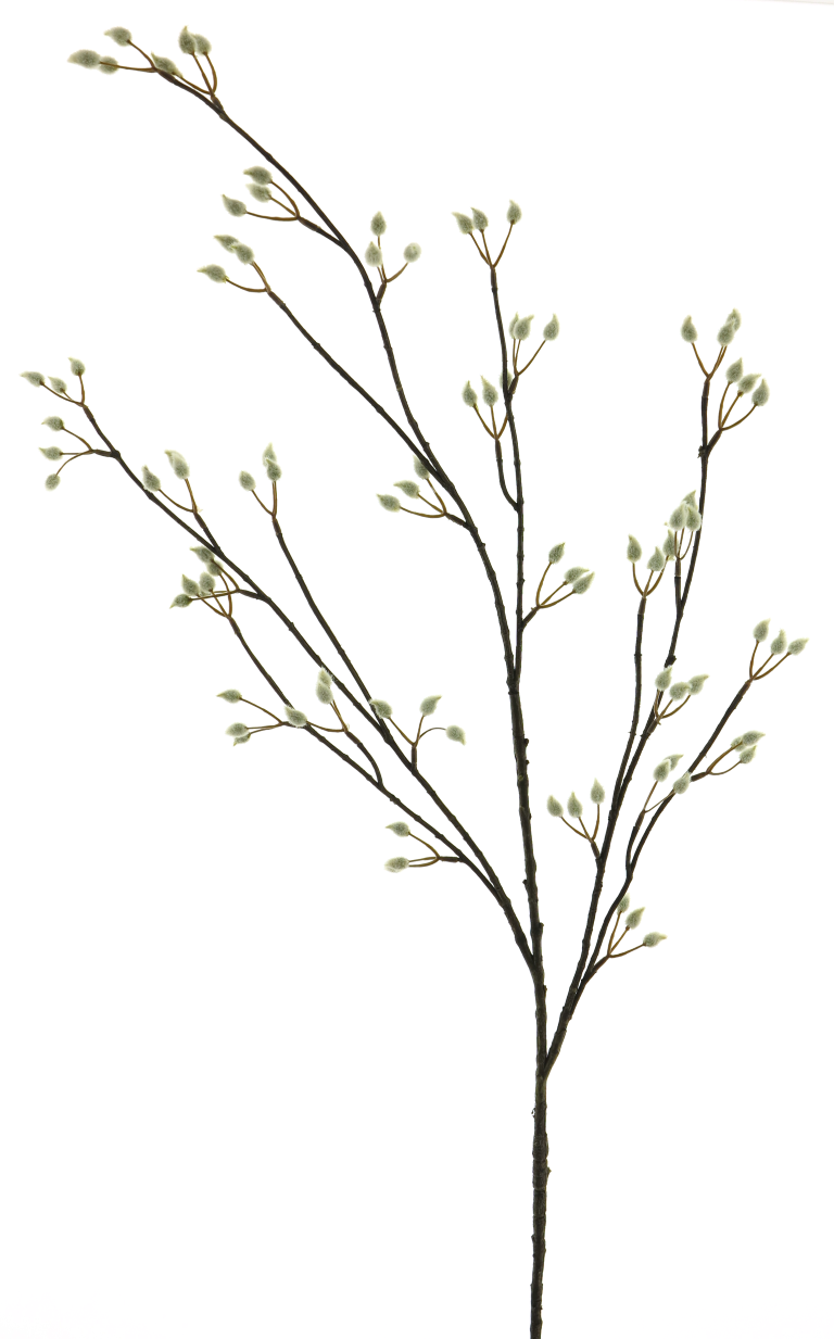 https://cdn.warentuin.nl/media/catalog/product/S/C/SCAN8505493381008_innovative_zijdebloem_pussy_willow_spray_cream_120cm_innovati_95c0.png