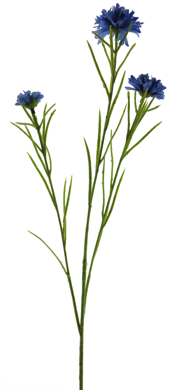 https://cdn.warentuin.nl/media/catalog/product/S/C/SCAN8505493383040_innovative_zijdebloem_cornflower_spray_blue_68cm_innovative_bbca.png