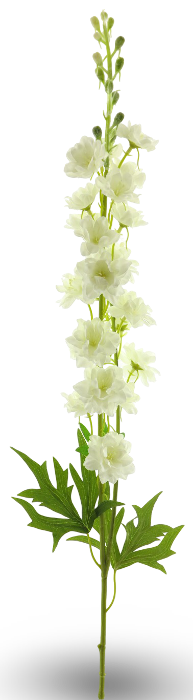 https://cdn.warentuin.nl/media/catalog/product/S/C/SCAN8505493487007_01_da0d.png