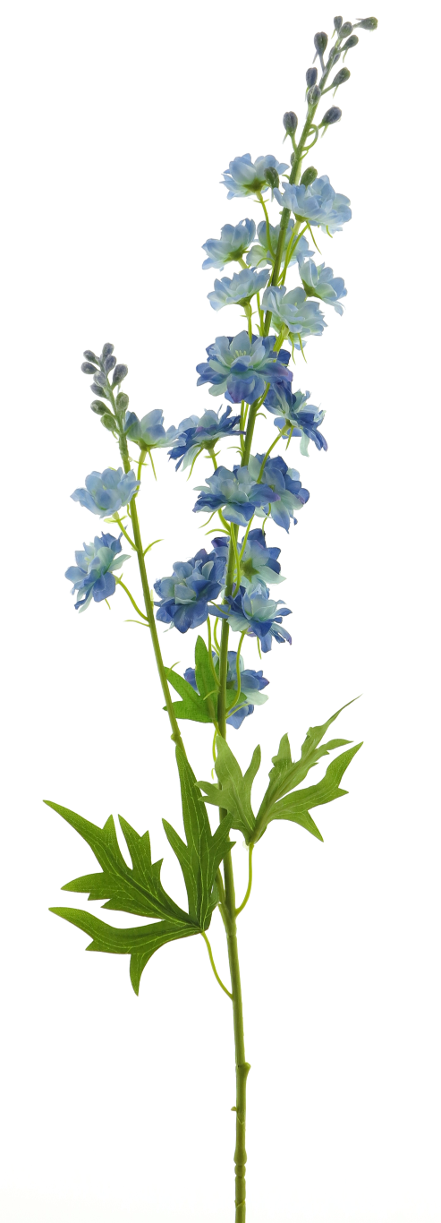 https://cdn.warentuin.nl/media/catalog/product/S/C/SCAN8505493487045_best_delphinium_finn_spray_blue_85cm_12908_5e30.png
