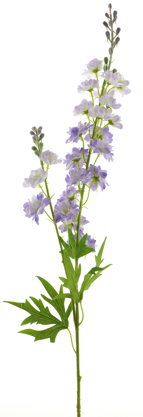 https://cdn.warentuin.nl/media/catalog/product/S/C/SCAN8505493487069_best_delphinium_finn_spray_purple_85cm_12908_91d7.png