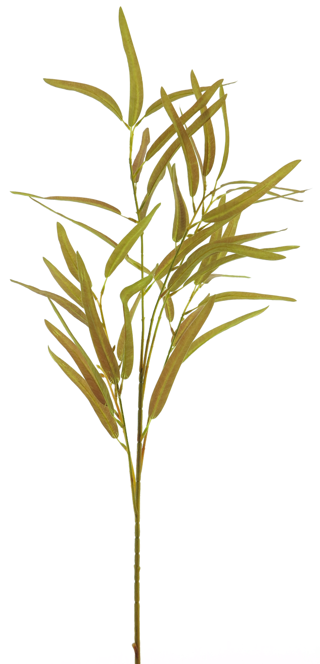 Nova nature Needle eucalyptus spray brown 91 cm kunstbloem  - 