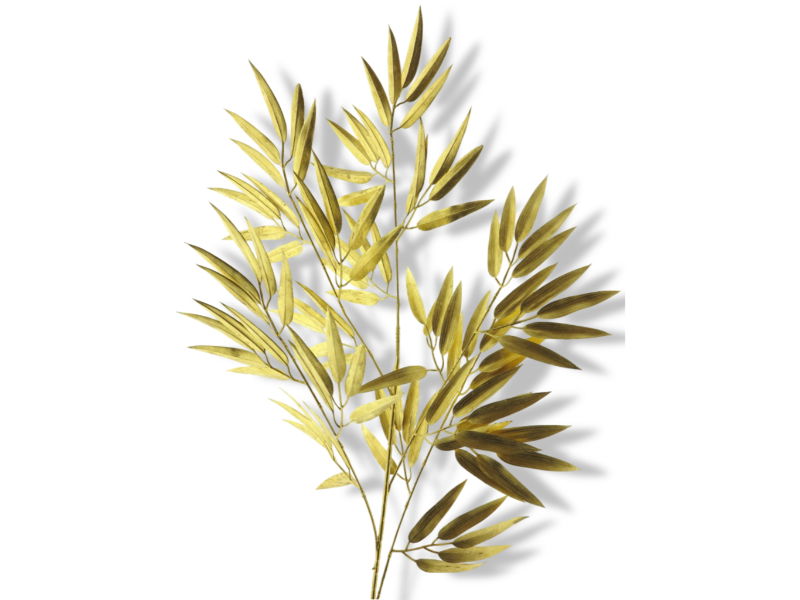 https://cdn.warentuin.nl/media/catalog/product/S/C/SCAN8505494671085_01_nova_nature_bamboo_spray_gold_98cm_nova_natu_621f.jpg