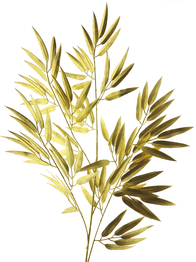 Bamboo spray gold 98cm Nova Nature