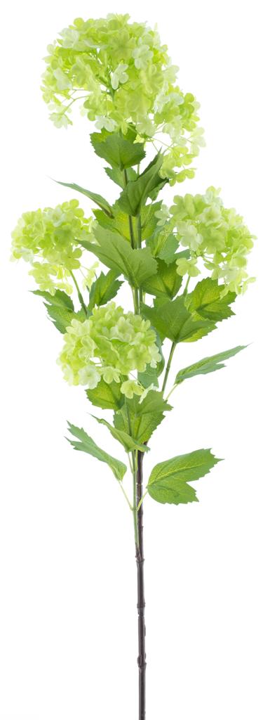 https://cdn.warentuin.nl/media/catalog/product/S/C/SCAN8505495587019_nova_nature_kunstbloemen_viburnum_flower_spray_green_88_cm_ku_97d0.jpg