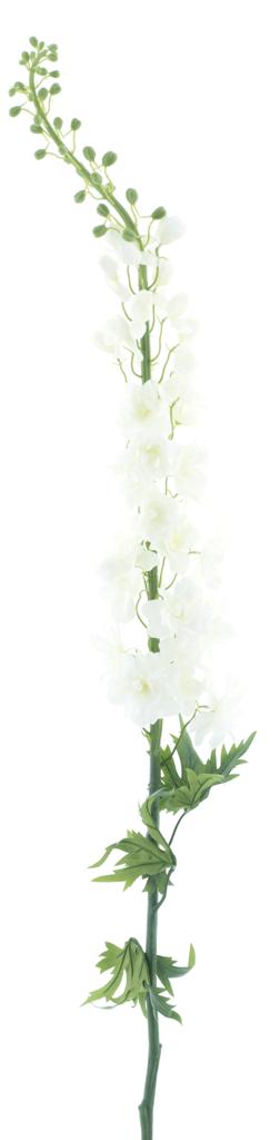https://cdn.warentuin.nl/media/catalog/product/S/C/SCAN8505495613008_nova_nature_kunstbloemen_giant_delphinium_spray_linus_cream_1_a40b.jpg